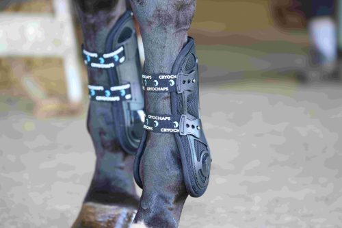 Cryochaps Exoskeleton Air Flow Vented Tendon Boots for Horses