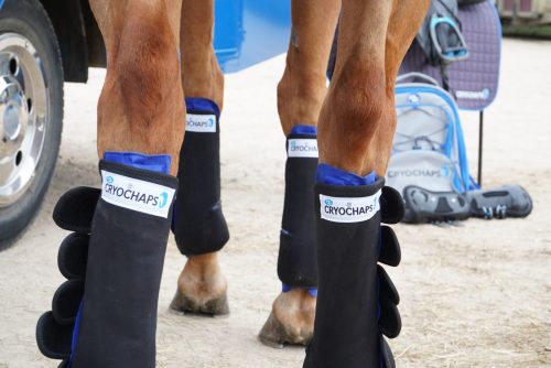 cryochaps horse boots