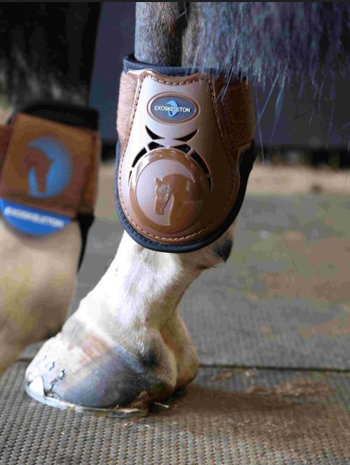 Cryochaps Exoskeleton Fetlock Boots for horses