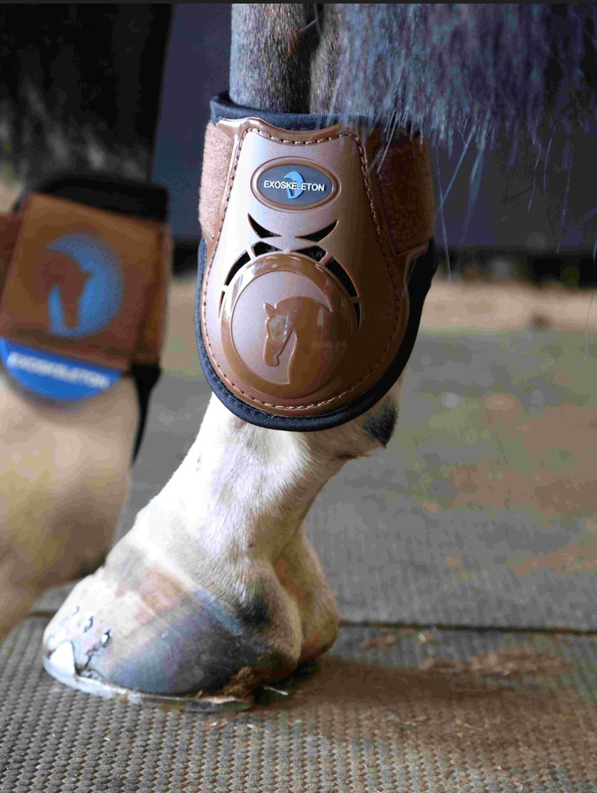 Horze Adepto Parastinchi Per Cavallo – Fodera In Neoprene, Chiusure Velcro, Colori Assortiti, Taglia Cob